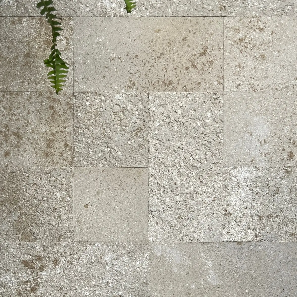 Amostra Rockface